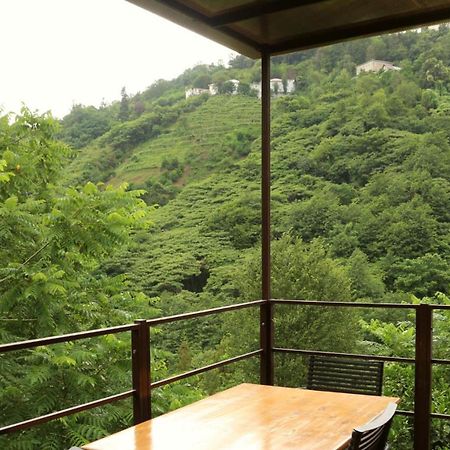 Modular House Green Zyland Y Batumi Exterior foto
